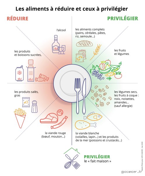 Qu’est-ce qui alimente le plus le cancer : entre réalités biologiques, mythes persistants et l’impact massif de notre mode de vie moderne
