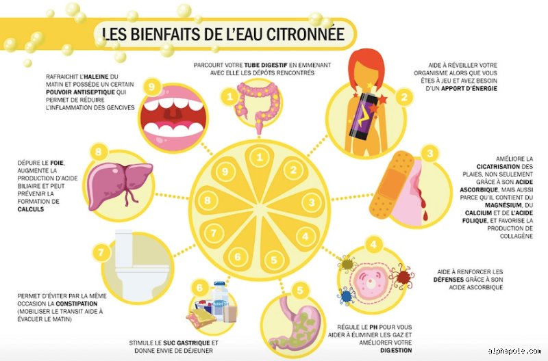 Quand ne dois-je pas boire d’eau citronnée ? Les 7 situations critiques où votre boisson détox devient une ennemie