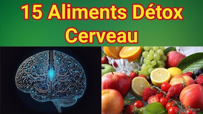 Que boire pour détoxifier son cerveau ? Le guide ultime des boissons neuro-protectrices validées par la science