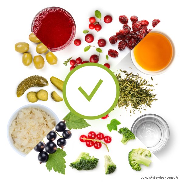 Que boire pour se débarrasser des infections bactériennes ? Le guide complet des boissons antibactériennes naturelles et remèdes liquides