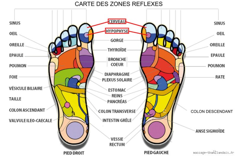 Que faut-il appliquer sur ses pieds pour dormir : le guide ultime pour retrouver une peau de bébé en une nuit