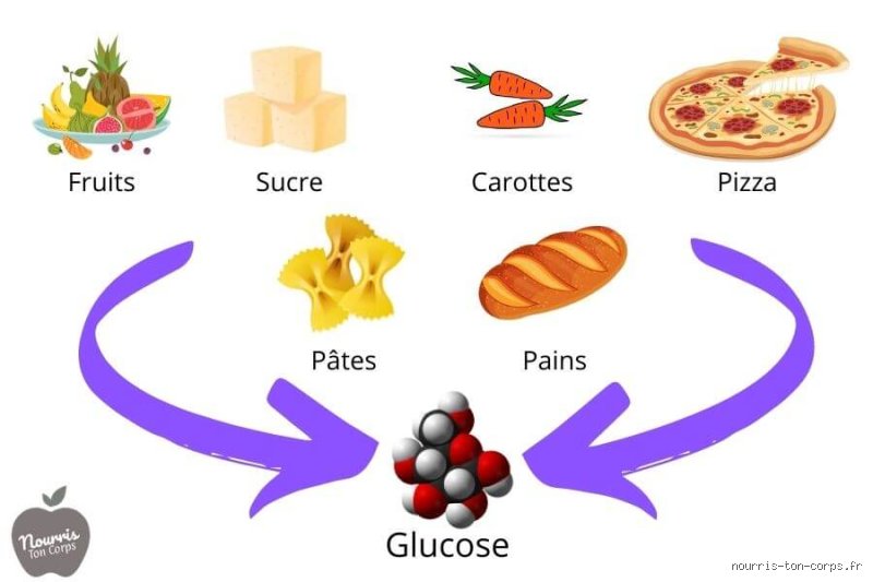Que puis-je manger au dîner si ma glycémie est élevée ? Le guide pour reprendre le contrôle sur votre assiette nocturne