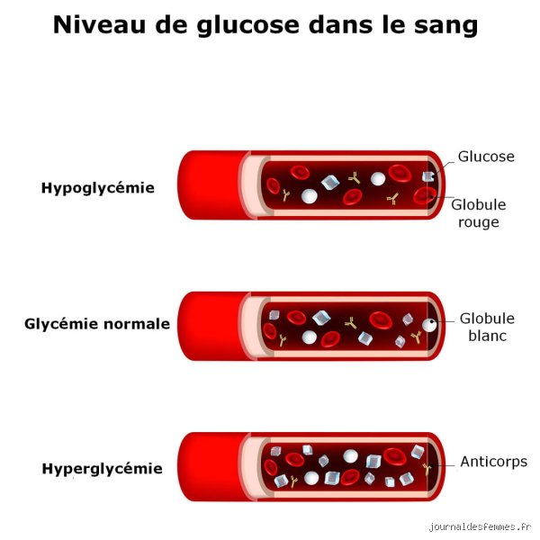 Que se passe-t-il lorsque le taux de glucose dans le sang est trop élevé ? Comprendre l'incendie métabolique silencieux