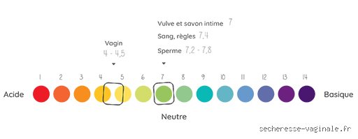 Que se passe-t-il si le pH d'une femme est trop élevé ? Comprendre enfin ce silence acide qui protège votre intimité