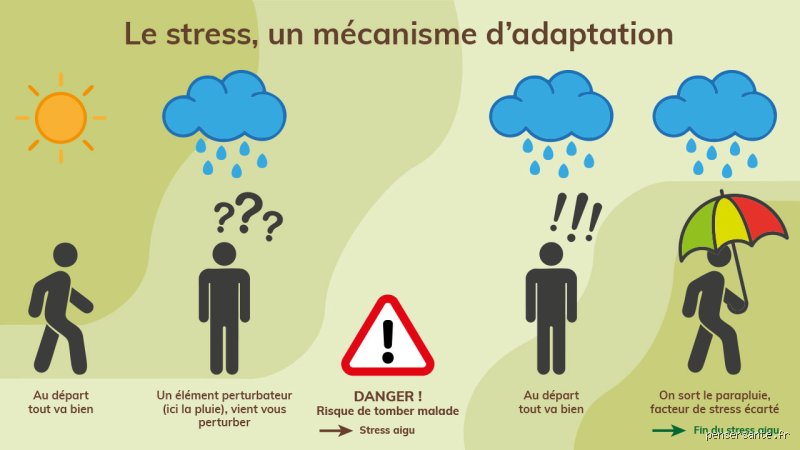 Que se passe-t-il si vous êtes stressé en permanence ? Les mécanismes insoupçonnés d'une usure silencieuse et durable