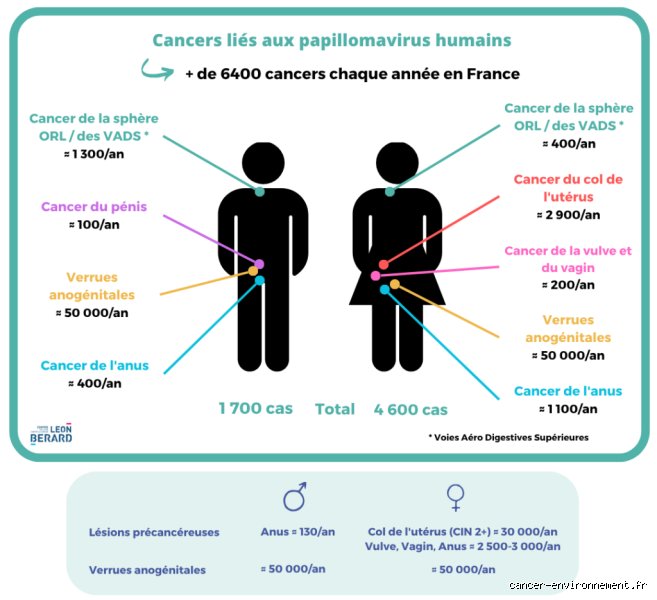 Quel cancer donne le papillomavirus ? Les liaisons dangereuses entre le HPV et votre système cellulaire décryptées