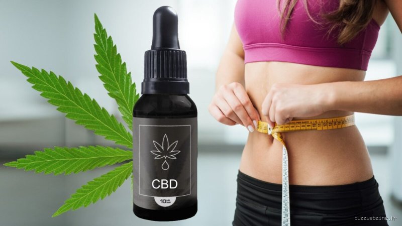 Quel CBD pour perdre du poids ?