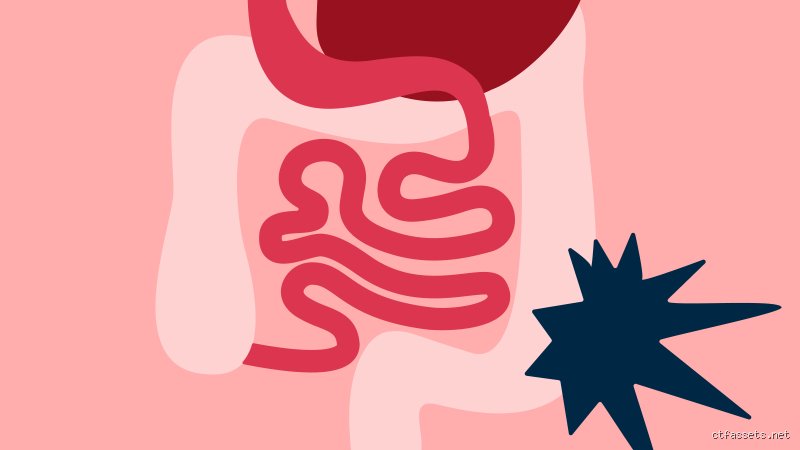 Quel est l'un des principaux effets secondaires du stress sur le système gastro-intestinal : la perturbation brutale de la barrière intestinale