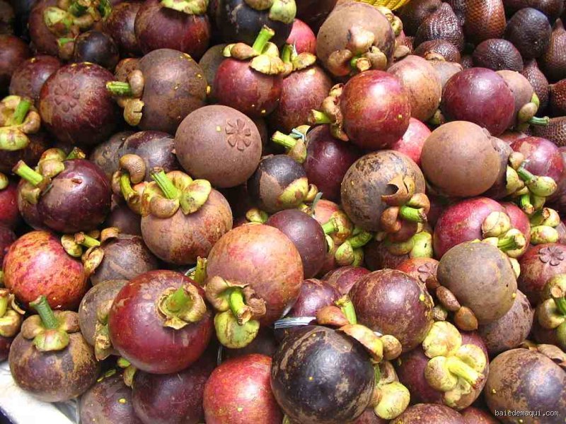 Quel est le fruit anti-âge capable de révolutionner votre routine beauté et de freiner le déclin cellulaire ?