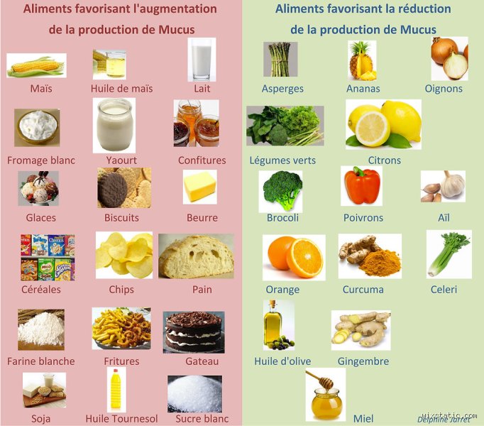 Quel est le meilleur aliment contre les mucosités pour libérer vos bronches naturellement ?