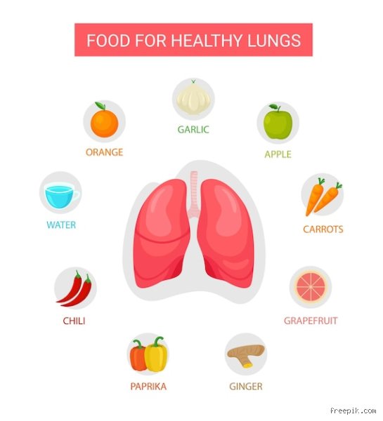 Quel est le meilleur aliment pour la santé des poumons ? Le verdict nutritionnel pour une respiration optimale