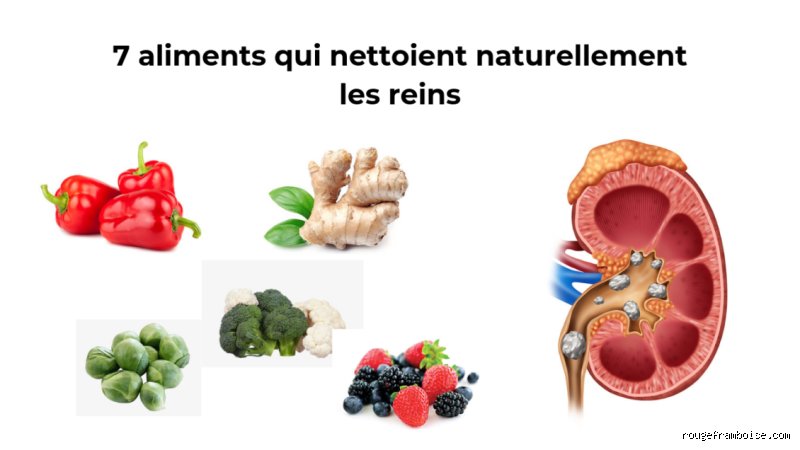 Quel est le meilleur aliment pour nettoyer les reins ?