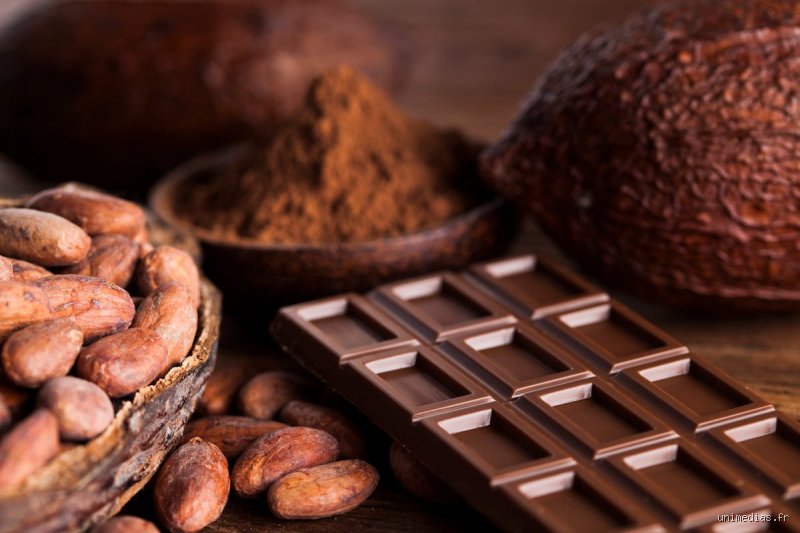 Quel est le meilleur chocolat quand on a du cholestérol ? Le guide d'expert pour ne plus se priver sans boucher ses artères