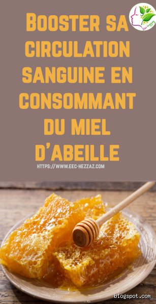 Quel est le meilleur miel pour la circulation du sang ? Les variétés à privilégier pour votre bien-être vasculaire