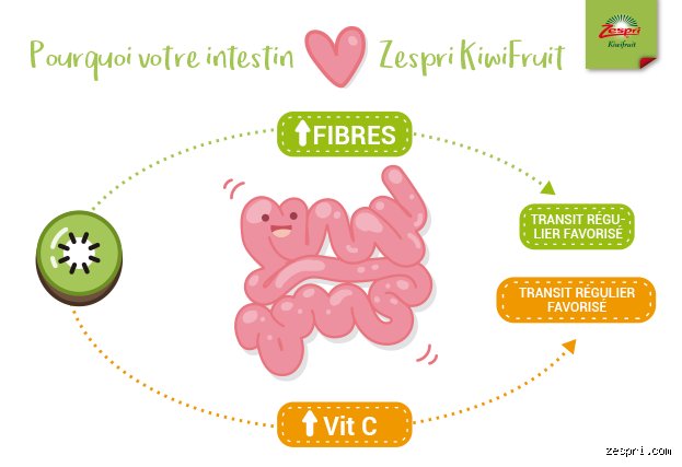 Le moyen le plus rapide d'améliorer sa santé intestinale : la méthode radicale pour transformer son microbiote