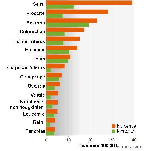 Quel est le pays qui présente le pourcentage de cancer le plus élevé ? Radiographie d’un fléau mondial invisible