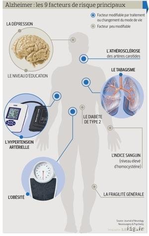 Quel est le principal facteur déclencheur de la démence ? Analyse des mécanismes silencieux qui basculent notre cerveau dans l'oubli