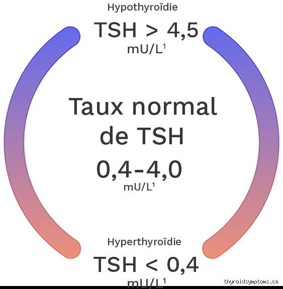 Quel est le seuil de TSH pour l'hypothyroïdie ? Le grand flou des normes de laboratoire décrypté par la science