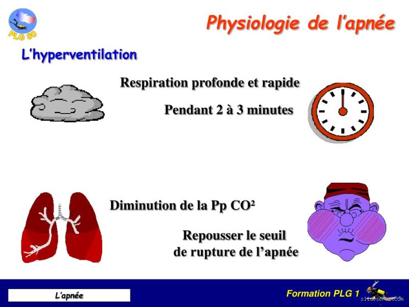 Quel est le temps moyen d'apnée ?