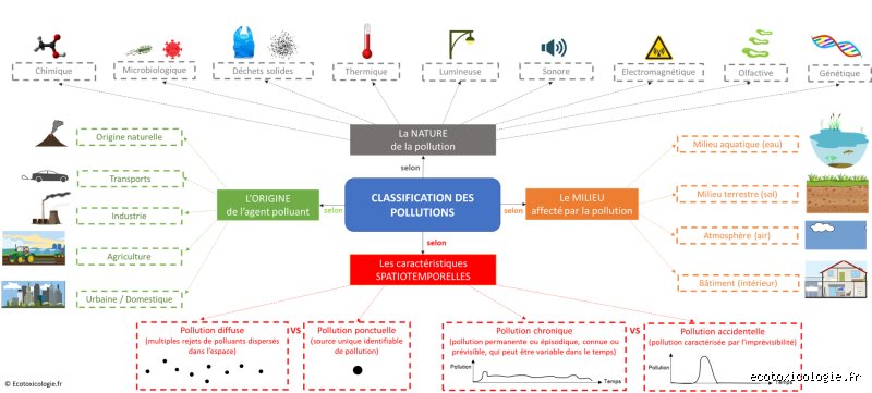 Quel est le type de contamination le plus courant ? Enquête sur l'omniprésence invisible des bactéries et des agents pathogènes