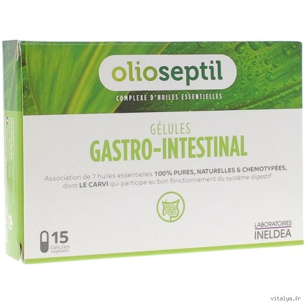 Quel est un désinfectant intestinal naturel ? Le guide pour purifier votre microbiote sans chimie