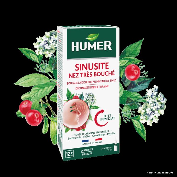 Quel est un remède naturel pour déboucher les sinus sans vider sa pharmacie ?
