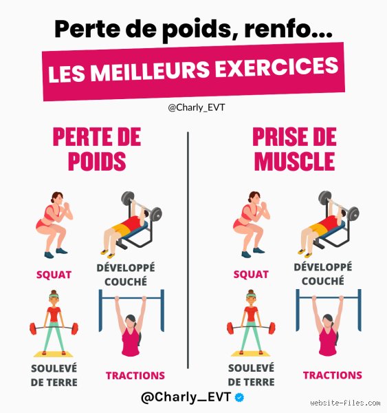 Quel exercice fait le plus maigrir ? La vérité scientifique loin des promesses marketing