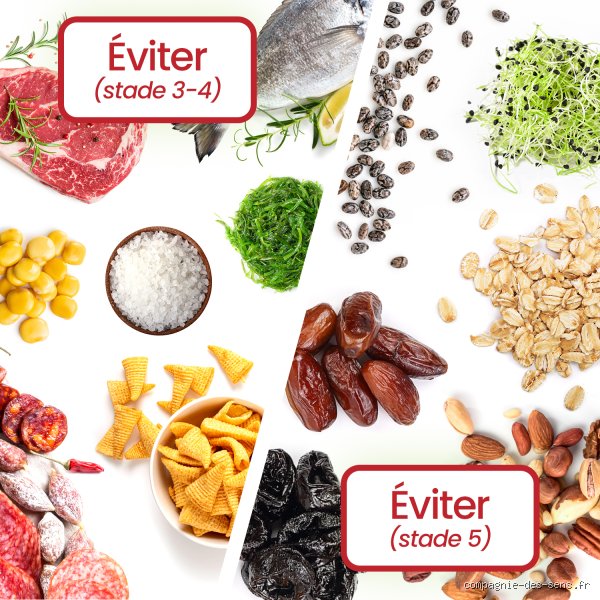 Quel fromage est bon pour les patients atteints d'insuffisance rénale chronique ? Le guide nutritionnel complet pour concilier plaisir et santé des reins
