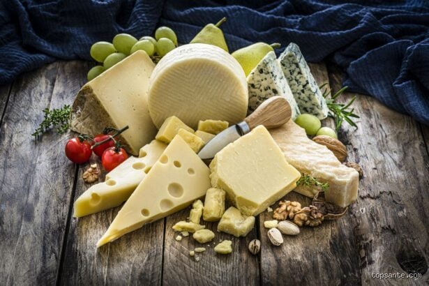 Quel fromage est sans danger pour les personnes atteintes d'une maladie rénale ? Le guide complet pour savourer sans risque