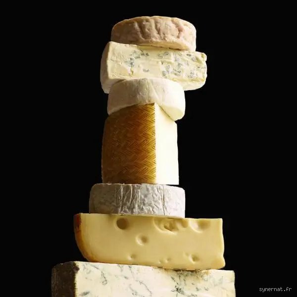 Quel fromage manger pour le pancréas ?