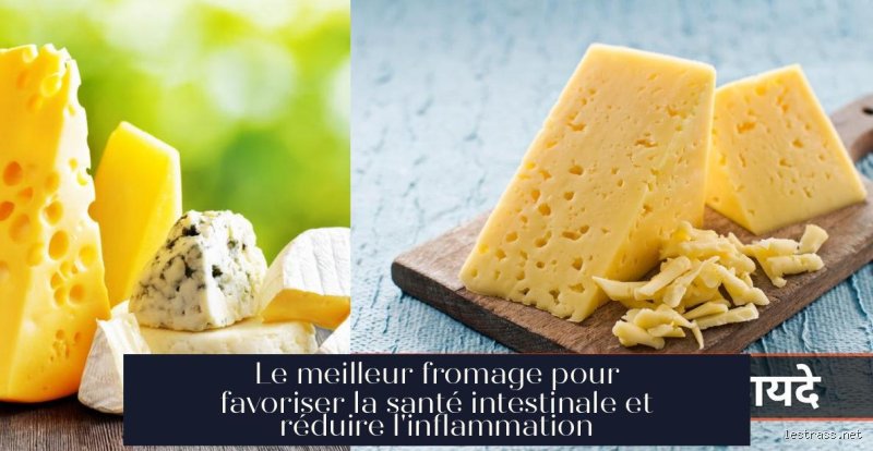 Quel fromage pour éviter la constipation ?