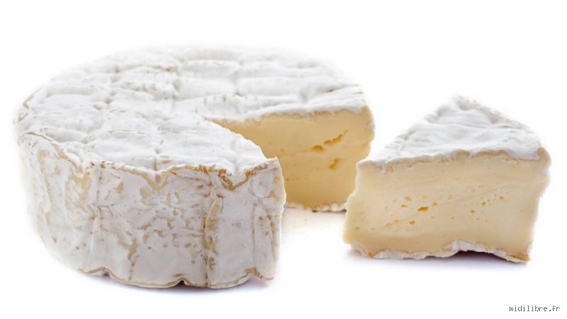 Quel fromage pour une insuffisance rénale ? Le guide complet pour concilier plaisir de la table et santé des reins
