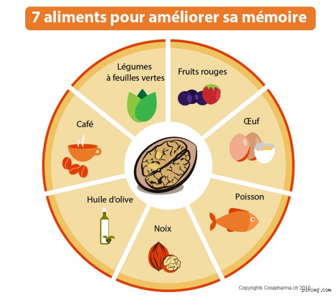 Quel fruit aide à la mémoire ? Les options naturelles pour un esprit affûté
