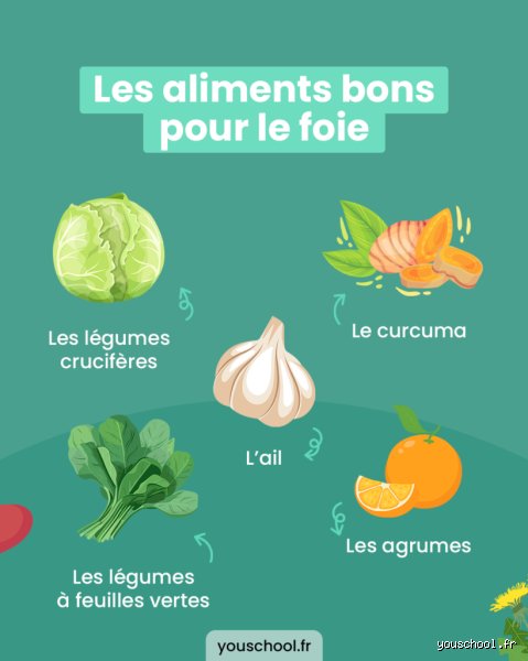 Quel fruit détoxifie le foie ? La vérité scientifique sur les aliments pour purifier votre organisme