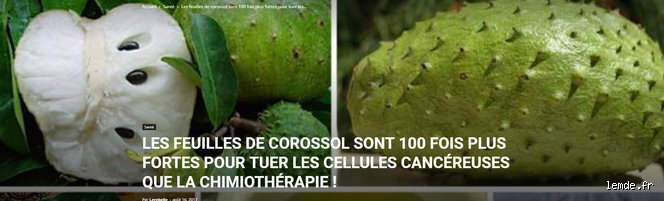 Quel fruit tue les cellules cancéreuses ? Vérités scientifiques, faux espoirs et molécules cachées dans nos vergers