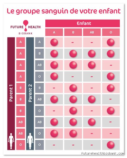 Quel groupe sanguin paraît plus jeune ? Enquête sur les secrets biologiques du vieillissement cutané