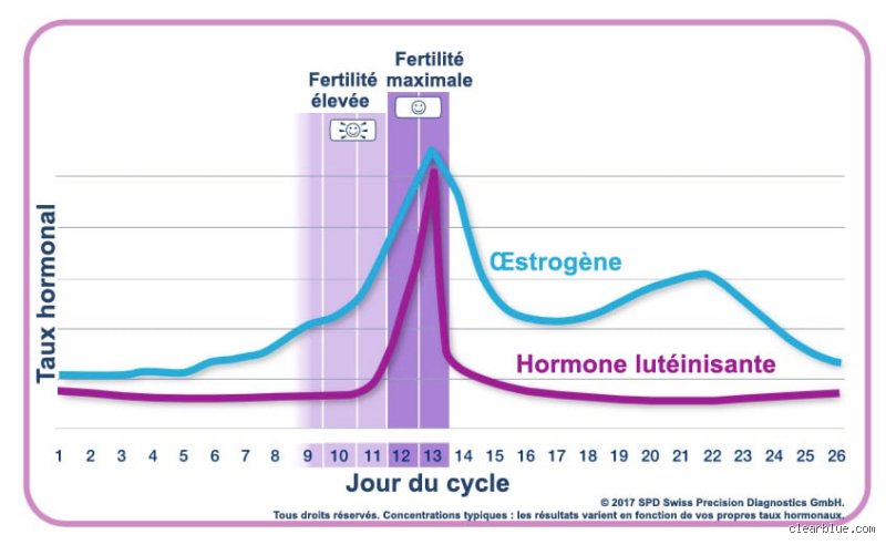 Quelle hormone empêche de tomber enceinte ?