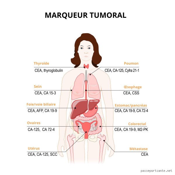 Quel marqueur pour prise de sang du pancréas : le guide complet pour décrypter vos résultats biologiques