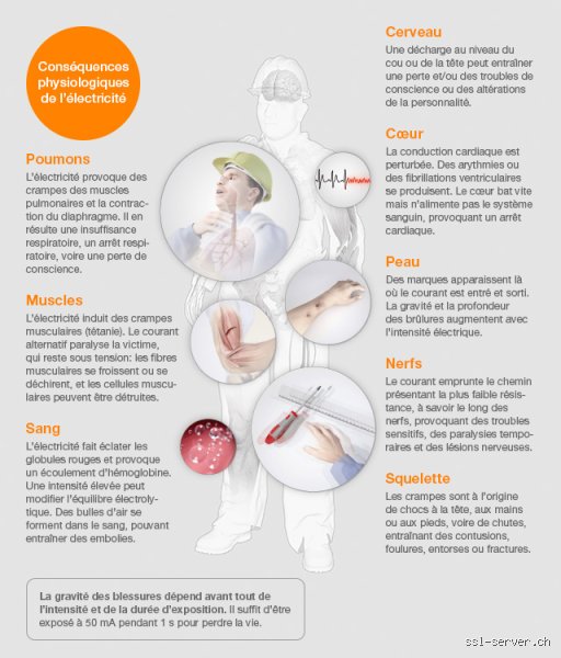 Quel médecin faut-il voir lorsqu'on a des décharges électriques dans le corps : le parcours de soin complet pour identifier la cause
