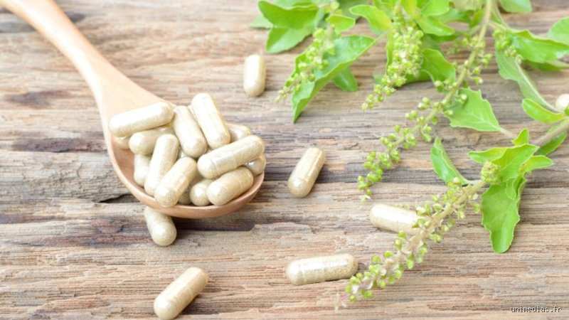 Quel médicament naturel peut remplacer un anti-inflammatoire ?