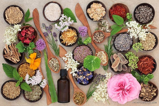 Quel médicament naturel choisir pour se soigner sans chimie : le guide complet pour s'y retrouver enfin