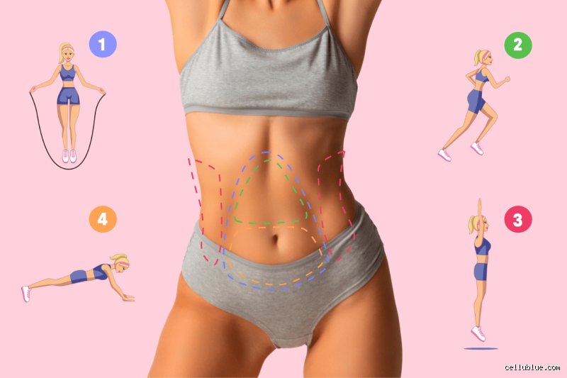 Quel muscle brûle le plus de graisse ? La vérité scientifique sur les moteurs thermiques de votre corps