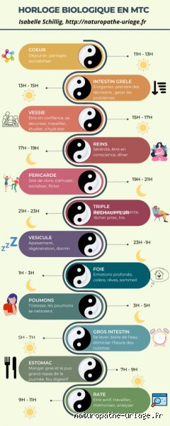 Quel organe se réinitialise à 3 heures du matin ? Vérités médicales et mythes de l'horloge biologique chinoise