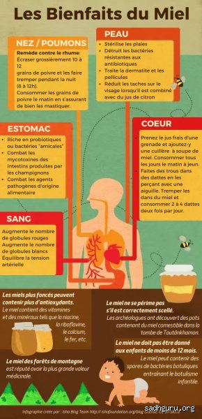 Remède ancestral ou super-aliment moderne : quelles sont les maladies que le miel soigne vraiment aujourd'hui ?