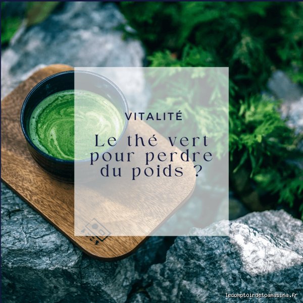 Quel thé vert pour perdre du poids ? Le guide expert pour optimiser votre métabolisme