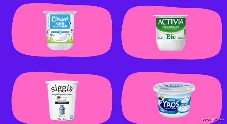 Quel yaourt pour le pancréas ? Le guide médical pour choisir sans agresser votre système digestif