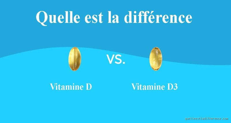Quelle différence il y a entre la vitamine D et la vitamine D3 ?
