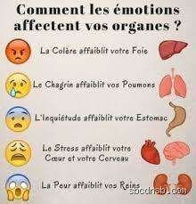 Quelle émotion affaiblit l'estomac ? Le lien viscéral entre vos angoisses et votre digestion