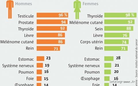 Quelle est l'espérance de vie d'un cancer : comprendre enfin les chiffres derrière les statistiques de survie