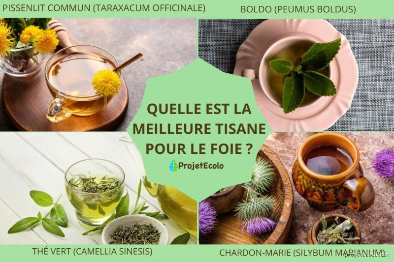 Quelle est la boisson la meilleure pour le foie ?